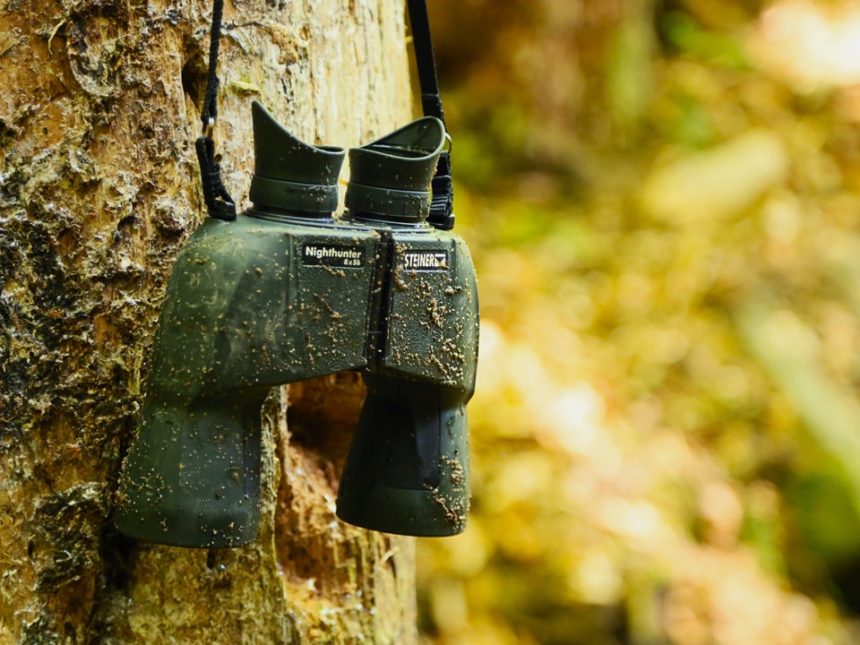 Nighthunter 8x56 Baum mit Tragegurt