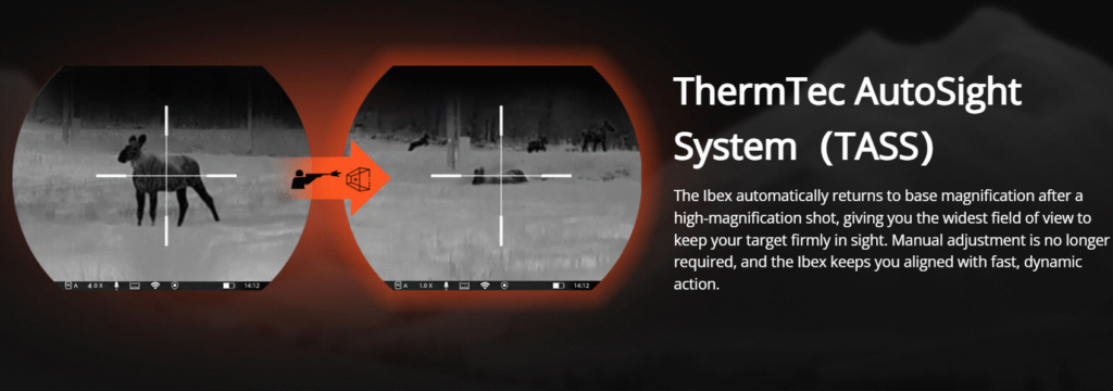 Screenshot 2025 12 04