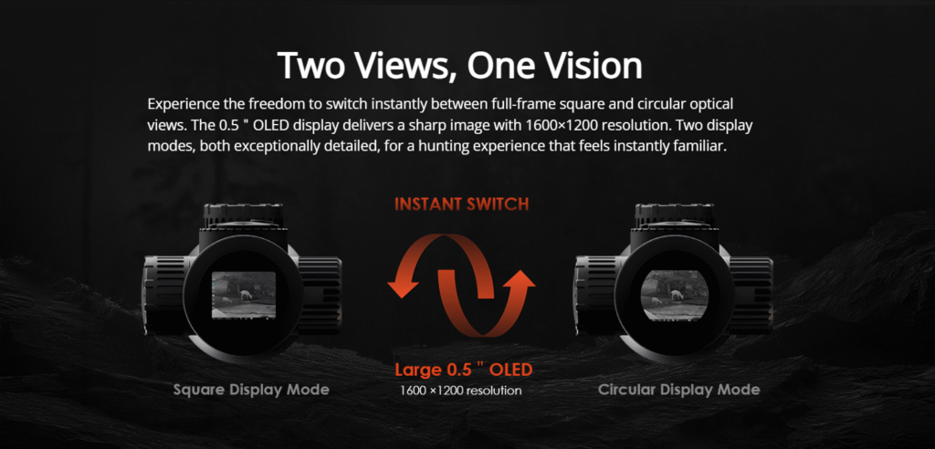 Screenshot 2025 12 04