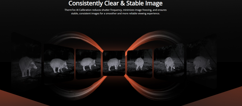 Screenshot 2026 02 12