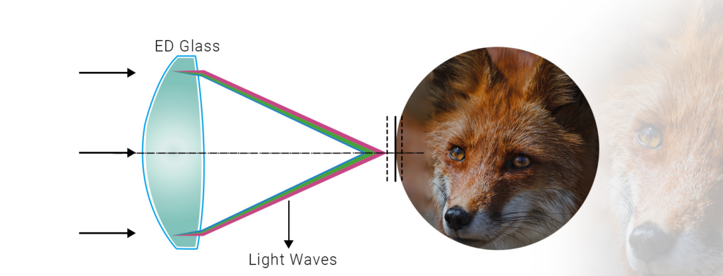 Screenshot 2026 02 18