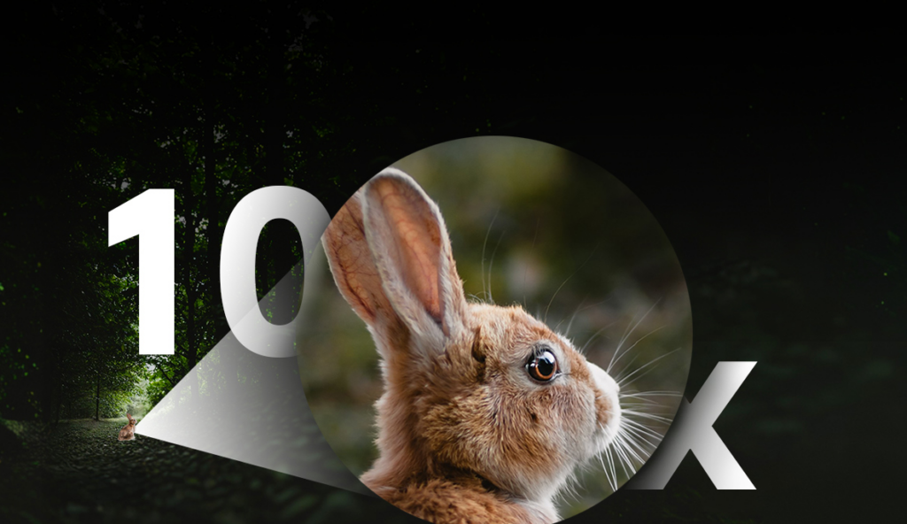 Screenshot 2026 02 18