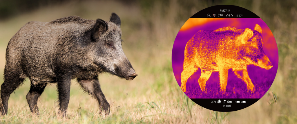 Screenshot 2026 02 18